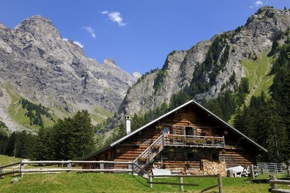 Switzerland, canton of Vaud, Villars-sur-Ollon, Solalex valley in the Muverans natural park