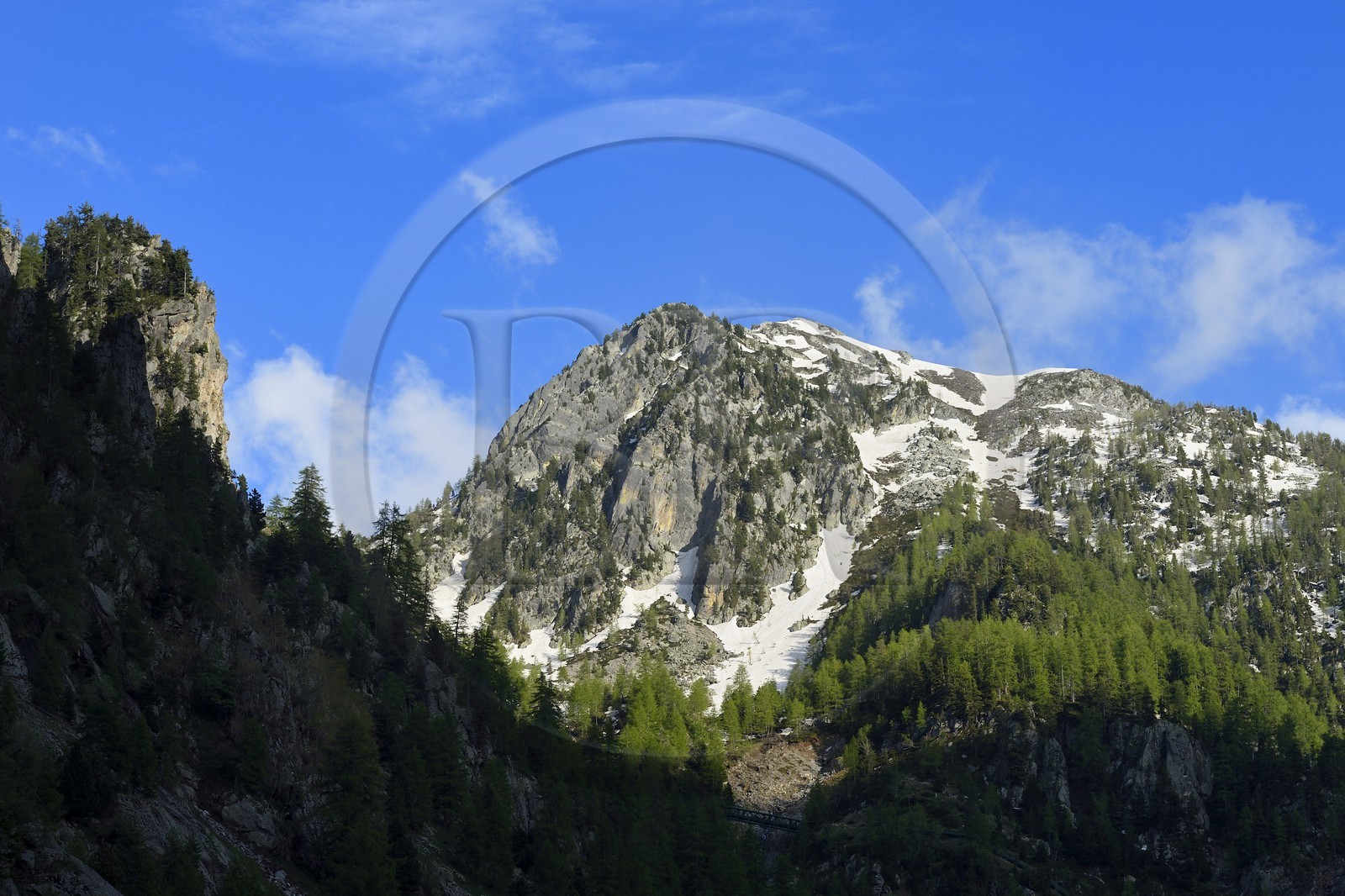 France, Alpes-Maritimes (06), parc national du Mercantour, Haute-Vésubie, vallon de la Gordolasque