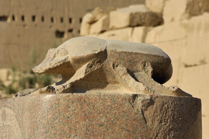 Egypte, Haute Egypte, vallée du Nil, Louxor, Karnak, classé Patrimoine Mondial de l'UNESCO, scarabée d'Aménophis III