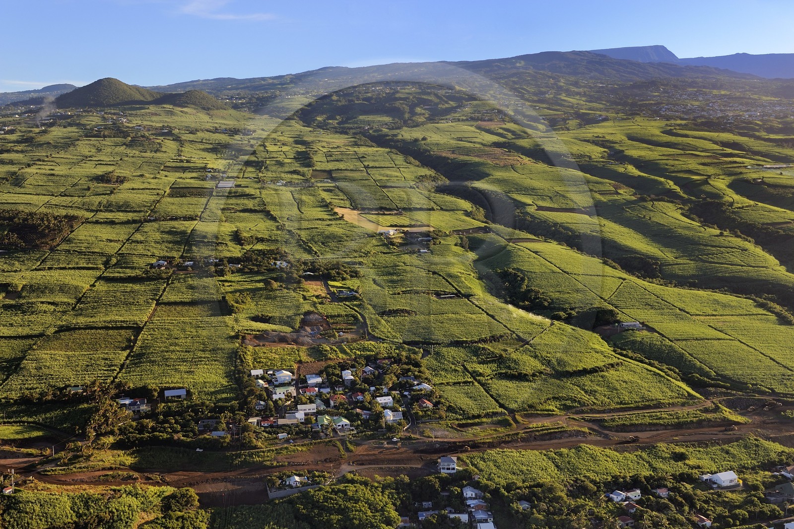 France, Reunion Island (French overseas department), southern coast vers Petite Ile, sugar cane fields (aerial view)