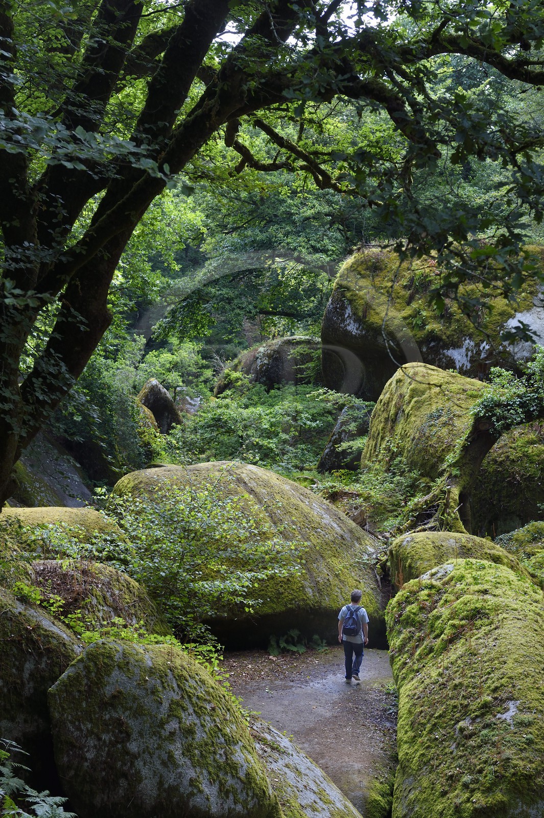 France, Finistere, Parc Naturel Regional d'Armorique (Armorique Natural Regional Park), Huelgoat, granitic chaos of the Huelgoat forest