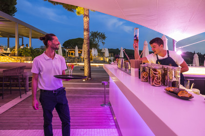 France, Hérault (34), Castelnau-le-Lez, Chateau ou Domaine de Verchant, hotel particulier du XVIème et XVIIème siècle appelée folie montpelliéraine, le restaurant et bar extérieur