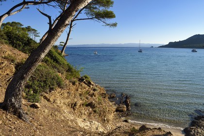 France, Var (83), Iles d'Hyères, parc national de Port Cros, Ile de Porquerolles, plage Notre-Dame dans la Baie de l'Alycastre et le Cap des Mèdes en arrière-plan