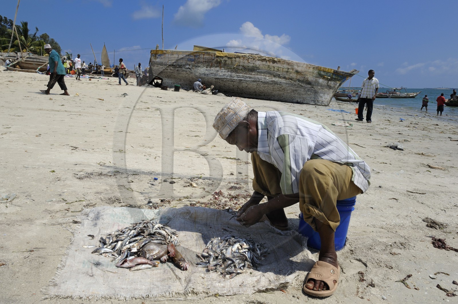 Tanzanie, Dar es-Salaam, tri de la pêche sur la plage devant le marché aux poissons de Kivukoni