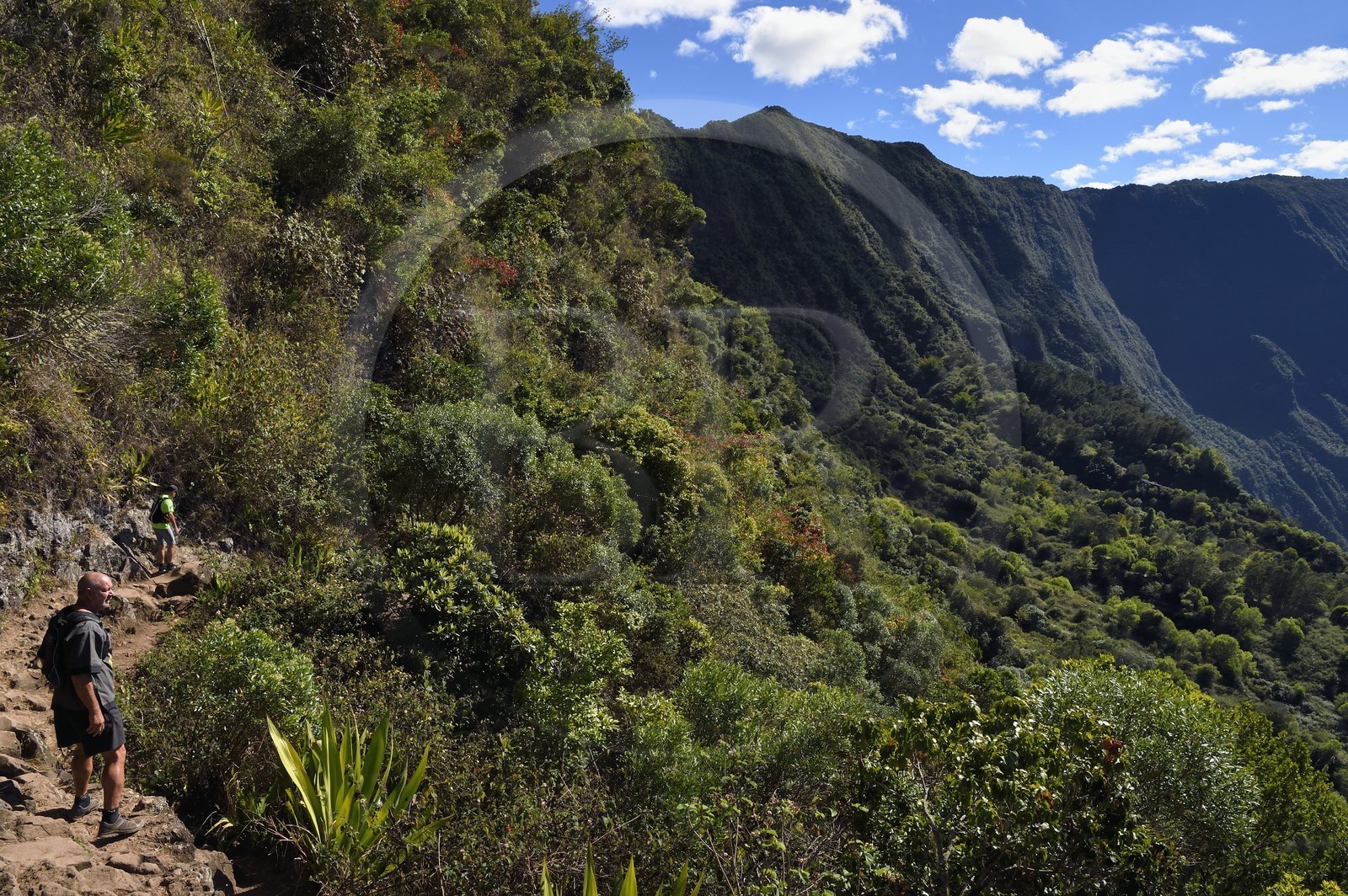 France, Ile de la Reunion, Parc National de la Réunion classé Patrimoine Mondial de l'UNESCO, La Possession, vers le village de Dos d'Ane, randonnée de la Roche Bouteille, le randonneur François Gaulin sur le sentier Cap Noir et le Cirque de Mafate à droite