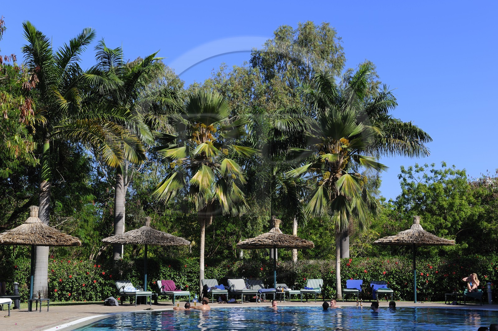 Tanzanie, Dar es-Salaam, l'hôtel Mövenpick, la piscine