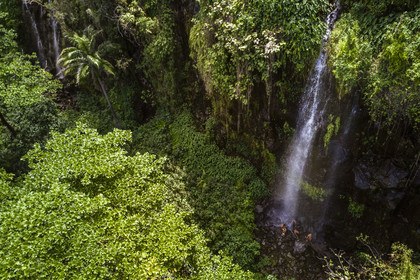 France, Reunion island (French overseas department), Reunion National Park, listed as World Heritage by UNESCO, Sainte-Rose, Anse des Cascades, creole children bathing under a waterfall (aerial view)