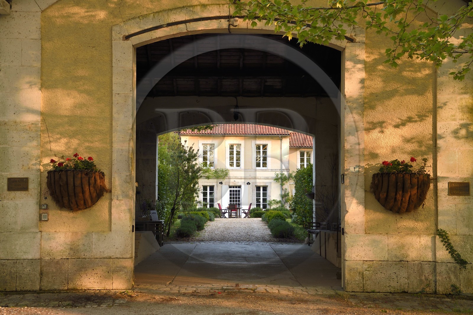 France, Charente (16), Bourg-Charente, chambres d'hotes le Domaine des Platanes