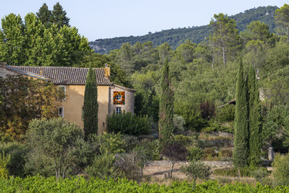 France, Var (83), Provence Verte, Bras, vers Saint-Maximin-la-Sainte-Baume, la maison d'hotes Le Peyrourier - une campagne en Provence