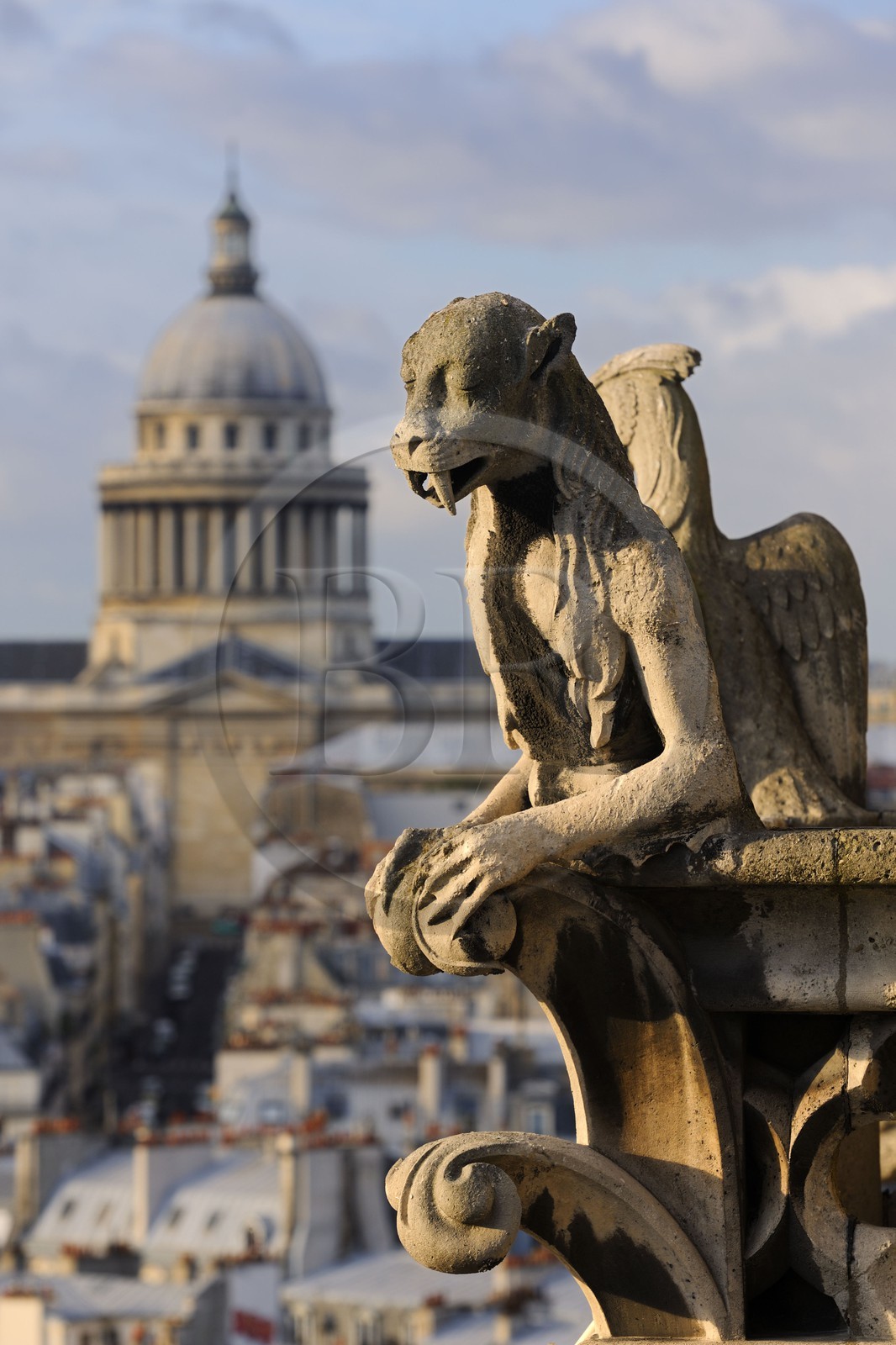 France, Paris, ile de la Cite, Notre-Dame Cathedral, the chimeras observe the city, the walrus and the Pantheon