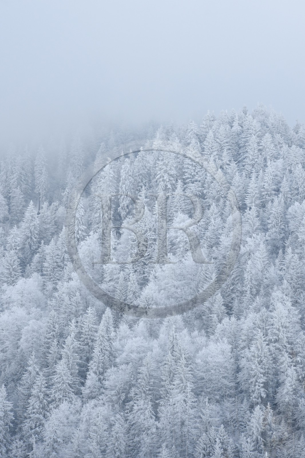 France, Haute Savoie, Morzine