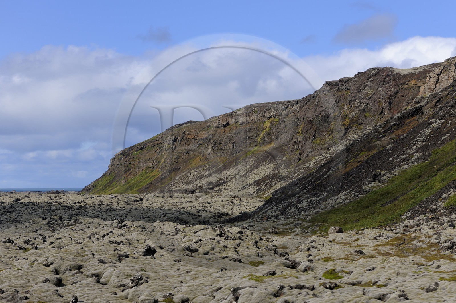 Islande, Grindavik, champs de lave recouverts de mousse