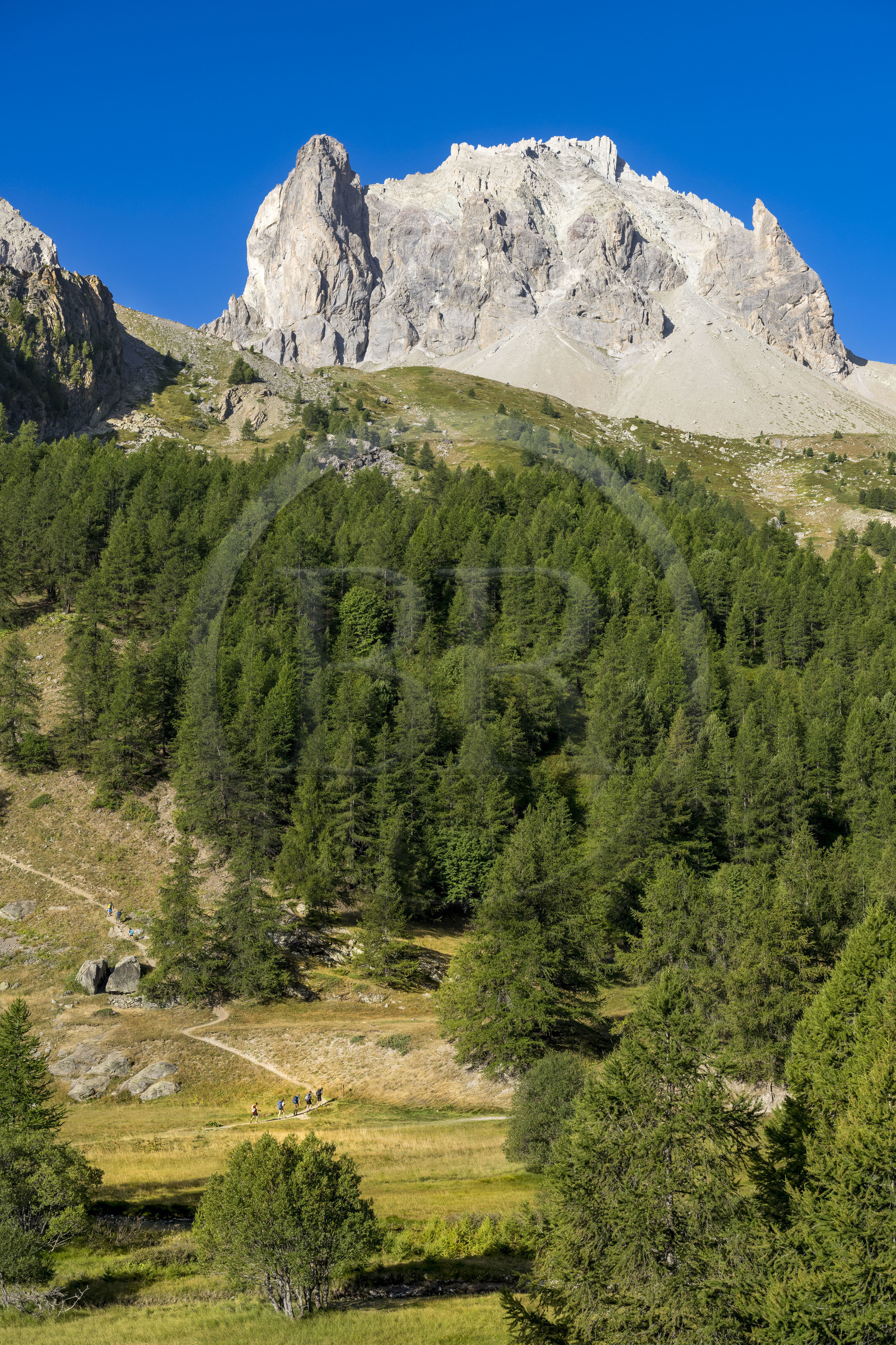 France, Hautes Alpes, Briancon region, Nevache, hikers in the Clarée valley, the Cerces massif in the background