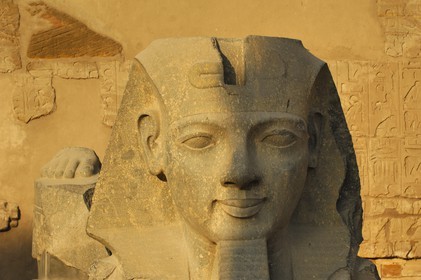 Egypt, Upper Egypt, Nile Valley, Luxor Temple listed as World Heritage by UNESCO, head of Ramesses II in front of the first pylon