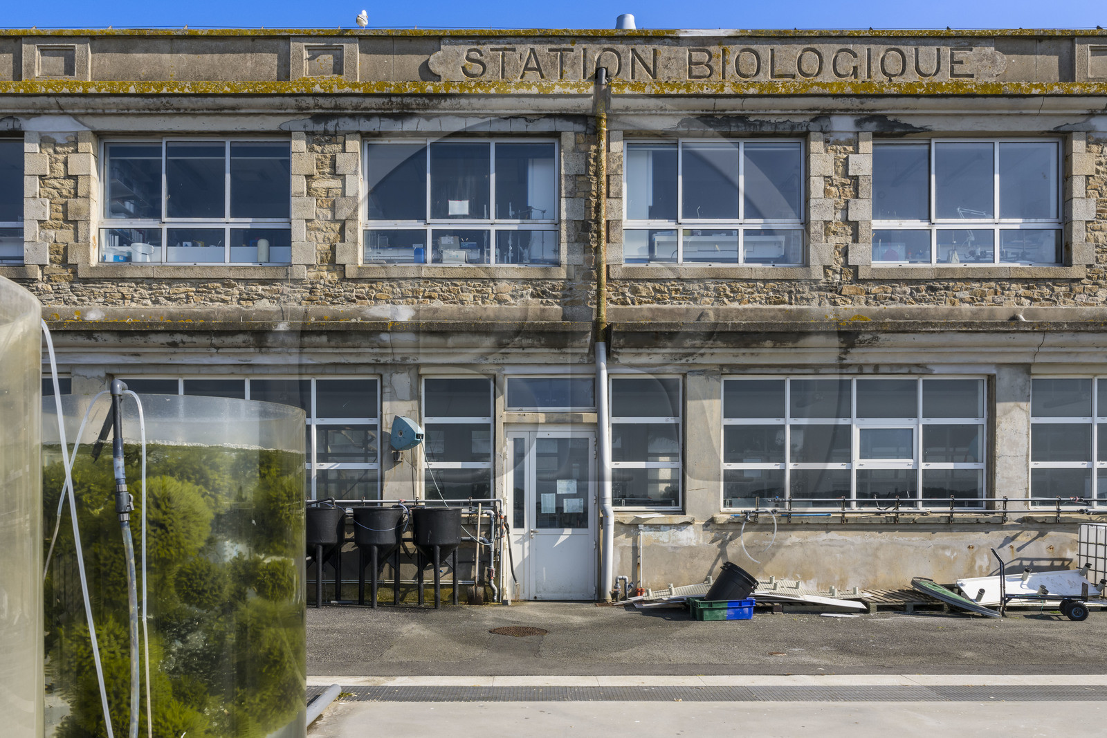 France, Finistère, Roscoff, biological station of the CNRS and Sorbonne University