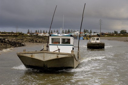 France, Charente-Maritime (17), Ile d'Oléron, le chenal d'Ors, chaland à huîtres dans le port ostréicole