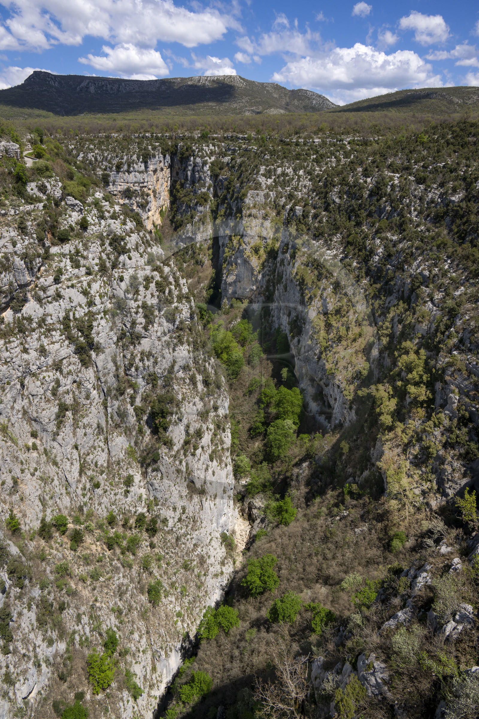 France, Var (83) rive gauche et Alpes-de-Haute-Provence (04) rive droite, Parc Naturel Régional du Verdon, les Gorges de l'Artuby