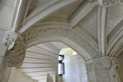 France, Dordogne (24), Périgord Vert, Villars, château de Puyguilhem, le grand escalier en vis