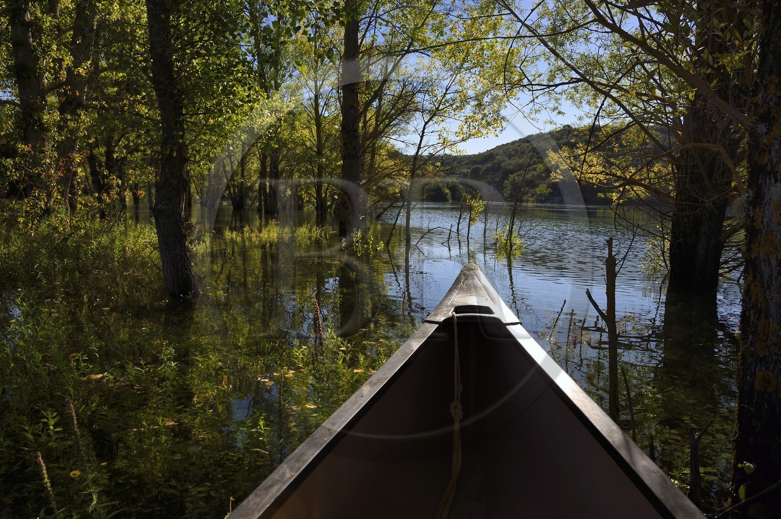 Var (83) rive gauche et Alpes-de-Haute-Provence (04) rive droite, Parc Naturel Régional du Verdon, Basses Gorges du Verdon en aval du lac de Sainte Croix
