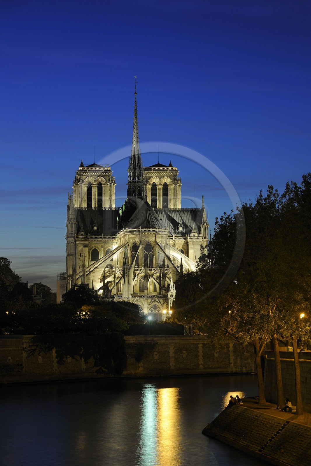 France, Paris (75), les rives de la Seine, classées Patrimoine Mondial de l'UNESCO, la cathédrale Notre-Dame