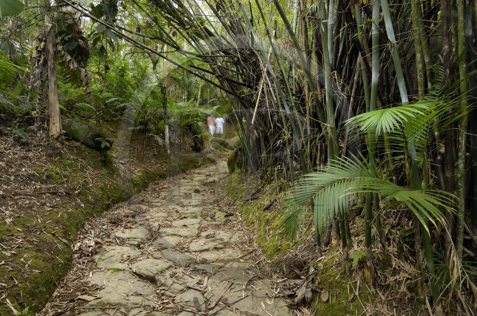 Brazil, Rio de Janeiro State, Paraty, former Gold Trail (Estrada Real)