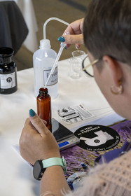 France (30), Gard, Bellegarde, ferme de plantes aromatiques Un Mas en Provence, fabrication de cosmétiques aux huiles essentielles bio de lavande