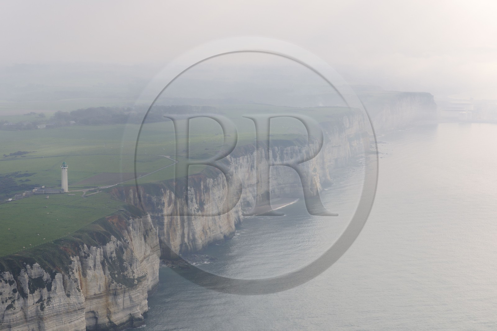 France, Seine-Maritime (76), Pays de Caux, Côte d'Albâtre, troupeau de vaches le long des falaises au sud d' Etretat (vue aérienne)
