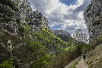 France, Alpes-de-Haute-Provence (04), Parc Naturel Régional du Verdon, Rougon, Grand Canyon du Verdon, la rivière du Verdon dans le couloir Samson et le début du sentier Blanc-Martel sur le GR4