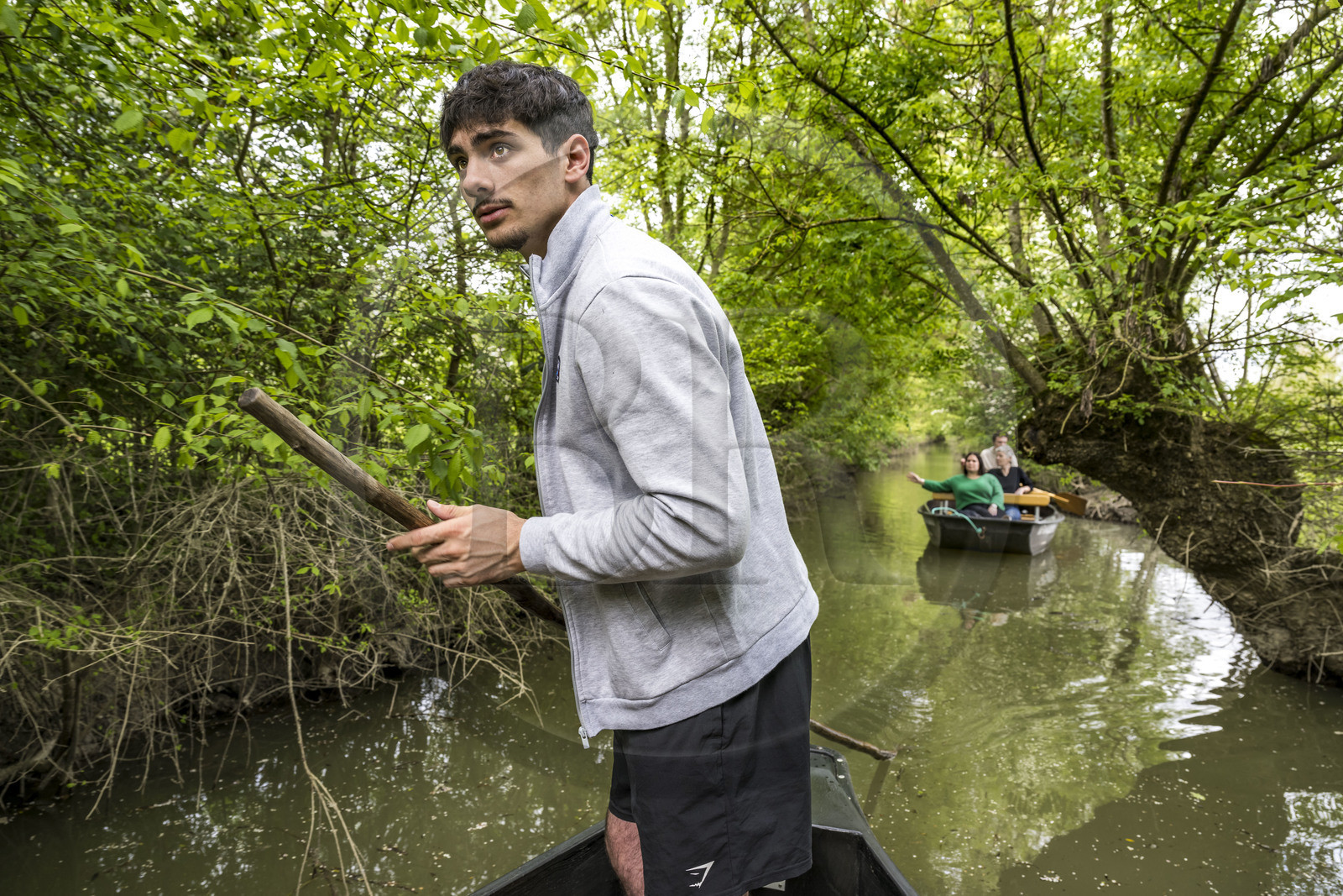 France, Vendée (85), Parc Interrégional du Marais Poitevin labellisé Grand Site de France, Maillezais, le batelier Mathis Babin armé de sa pigouille (perche en bois) pousse sa barque dans les conches sur les affluents de l'Autise