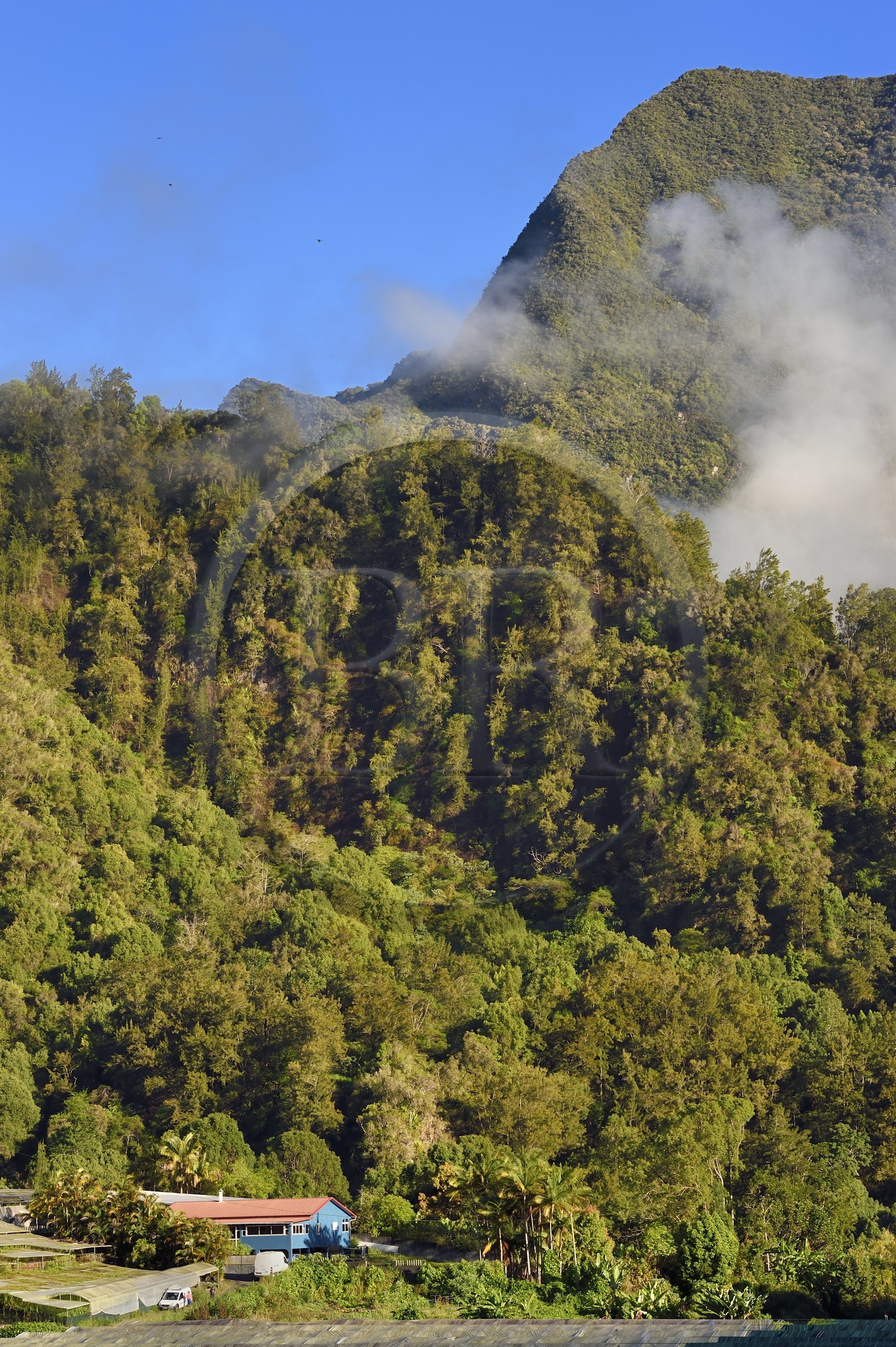 France, Ile de la Reunion, Cirque de Salazie, classé Patrimoine Mondial de l'UNESCO, ferme