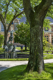 France, Seine-et-Marne (77), Fontainebleau, chateau de Fontainebleau, classé Patrimoine Mondial par l'UNESCO, la fontaine de Diane au centre du jardin de Diane