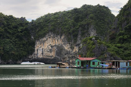 Vietnam, province de Quang Ninh, la Baie d'Halong classée Patrimoine Mondial de l'UNESCO, village flottant de pêcheurs de Vong Vieng