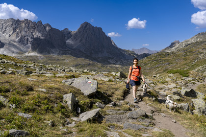 France, Hautes Alpes, Briancon region, Nevache, the upper Clarée valley, hiker with her dogs