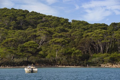 France, Var (83), Iles d'Hyères, parc national de Port Cros, Ile de Porquerolles, la Plage d'Argent