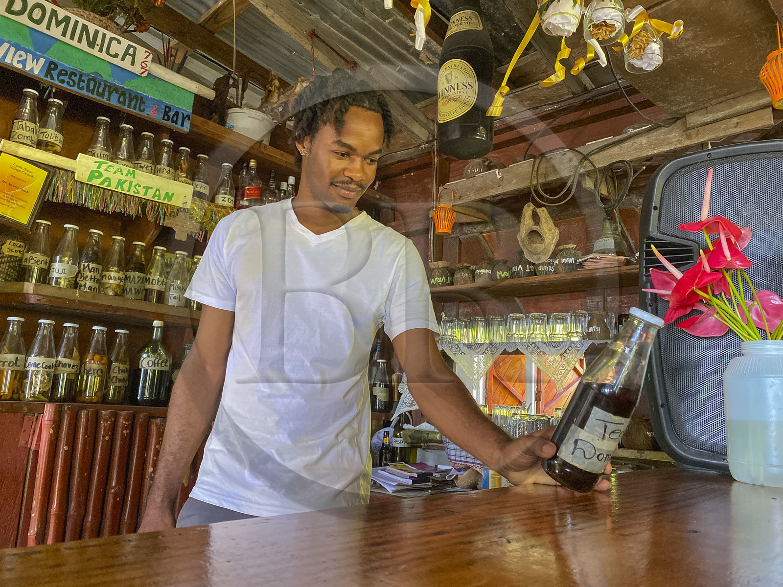 Caraïbes, Ile de la Dominique,