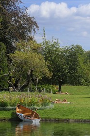 France, Paris (75), le Bois de Boulogne, promenade en barque autours des iles du Lac Inférieur
