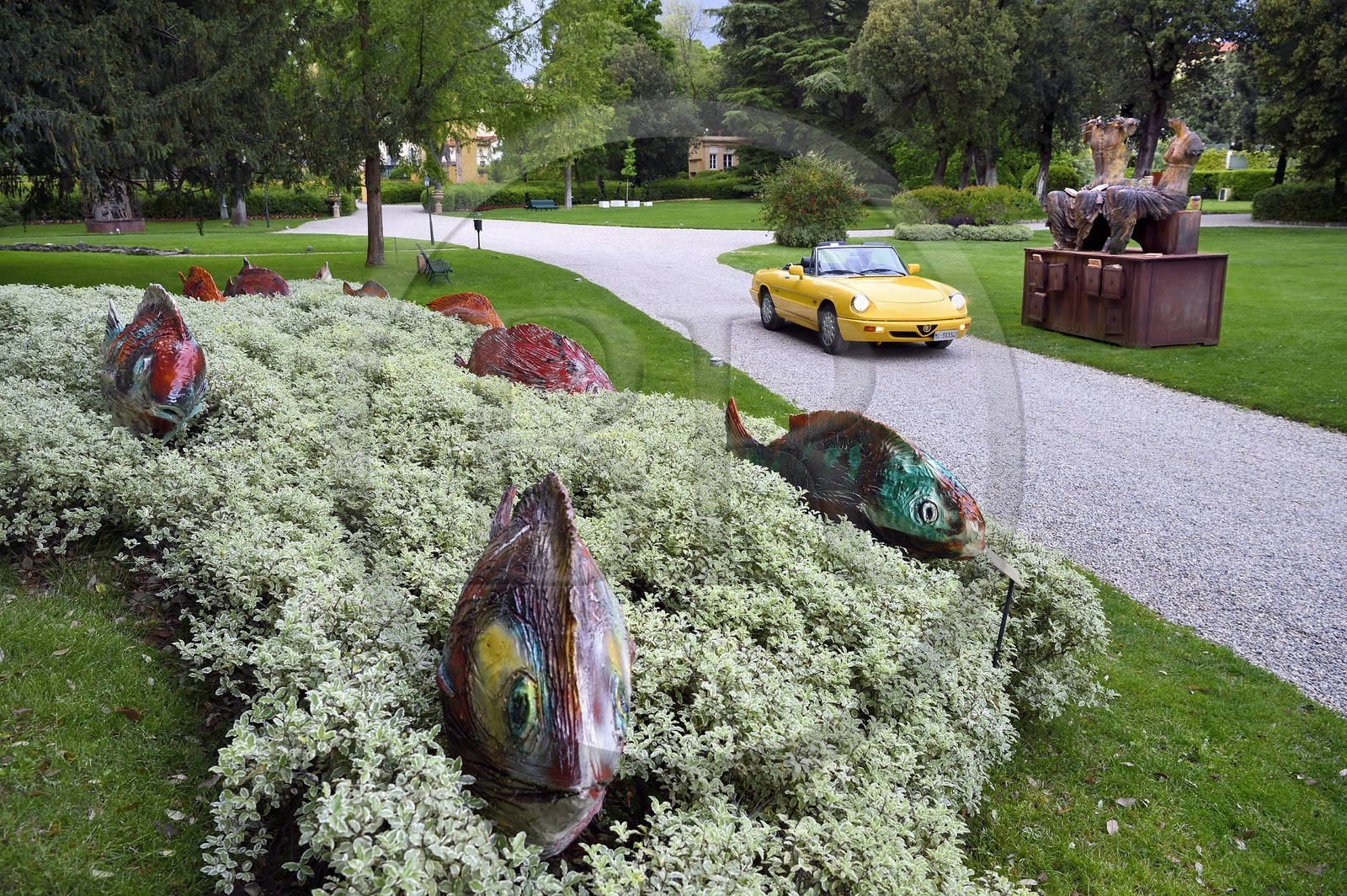 Italie, Toscane, Florence, centre historique classé Patrimoine Mondial de l'UNESCO, cabriolet Alfa Romeo Duetto Spider jaune dans les jardins du Palazzo Della Gherardesca, palace 5 étoiles Four Seasons Hotel Firenze