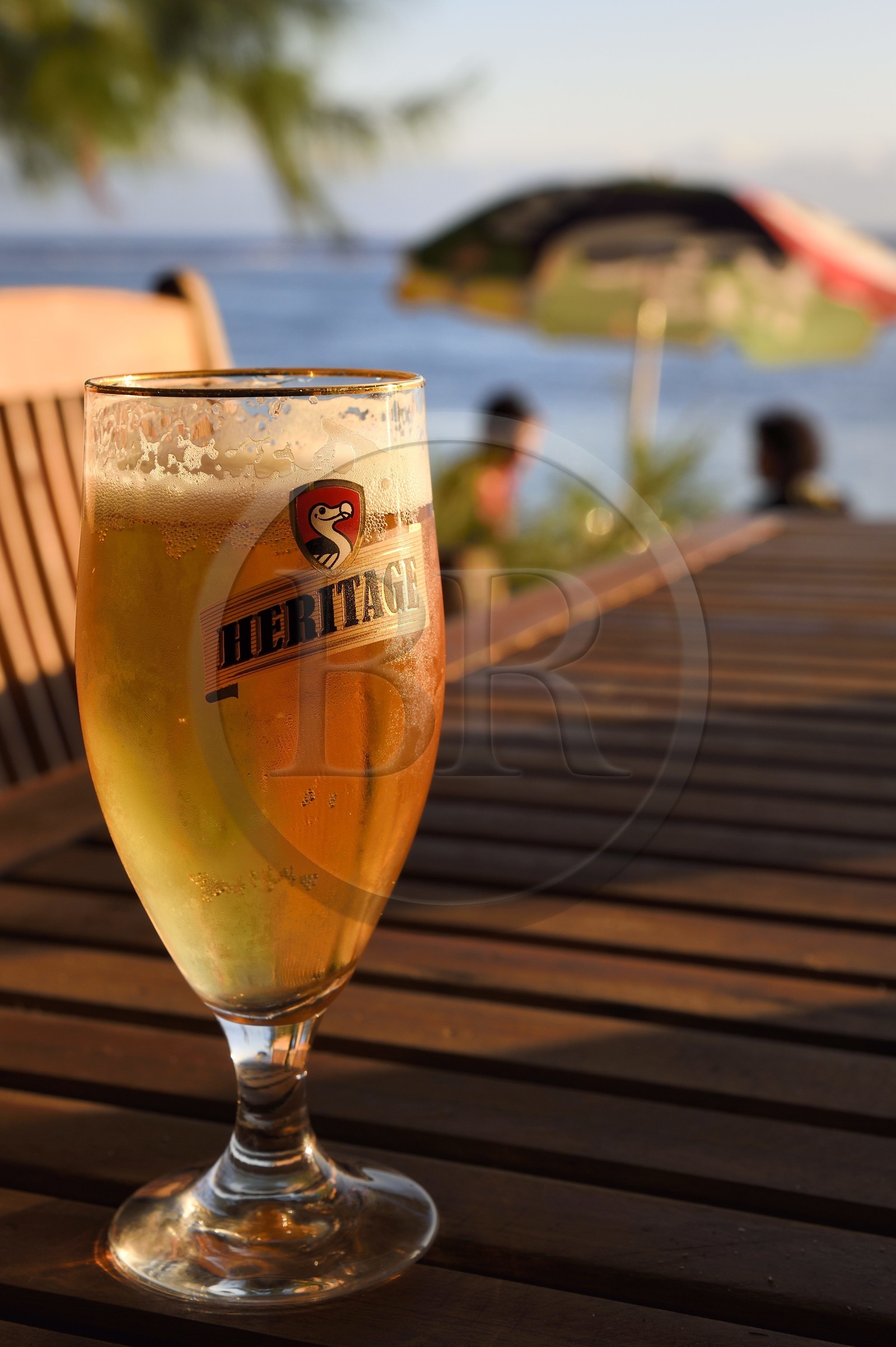 France, île de la Réunion, la Cote Ouest, plage du lagon de Saint-Gilles-Les-Bains à l'Ermitage-les-Bains, bière locale Bourbon dite Dodo
