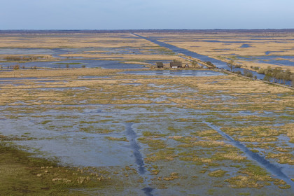 France, Loire-Atlantique (44), parc naturel regional de la Brière, Saint-Malo-de-Guersac, les marais de Brière  (vue aérienne)