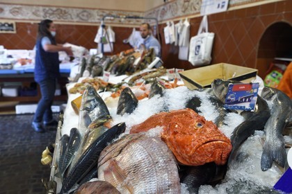 France, Var, Saint Tropez, fish market, lionfish on the stall