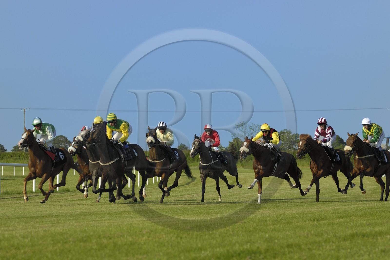 Irlande, Co. Meath, hippodrome de Fairyhouse, course de chevaux