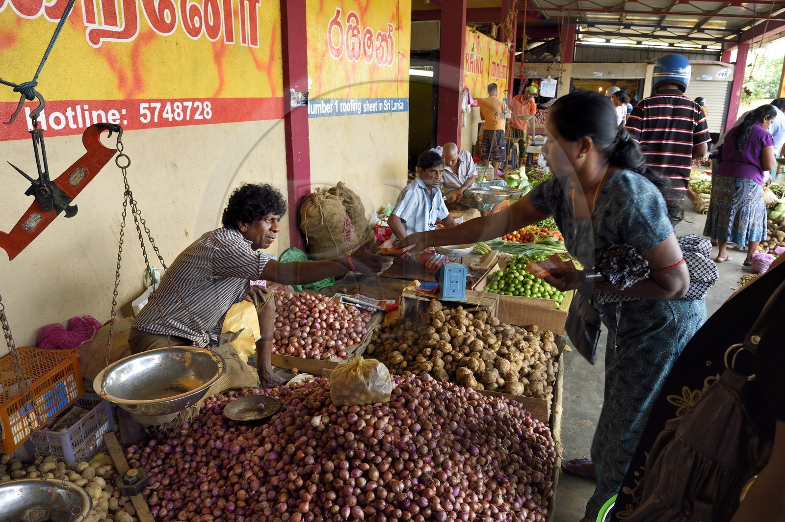 Sri Lanka, province de l'Est, Trincomalee, le marché couvert, vente de légumes