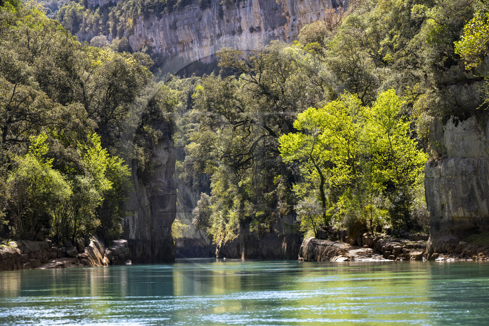 Var (83) rive gauche et Alpes-de-Haute-Provence (04) rive droite, Parc Naturel Régional du Verdon, Basses Gorges du Verdon en aval du lac de Sainte Croix, gorges de Baudinard
