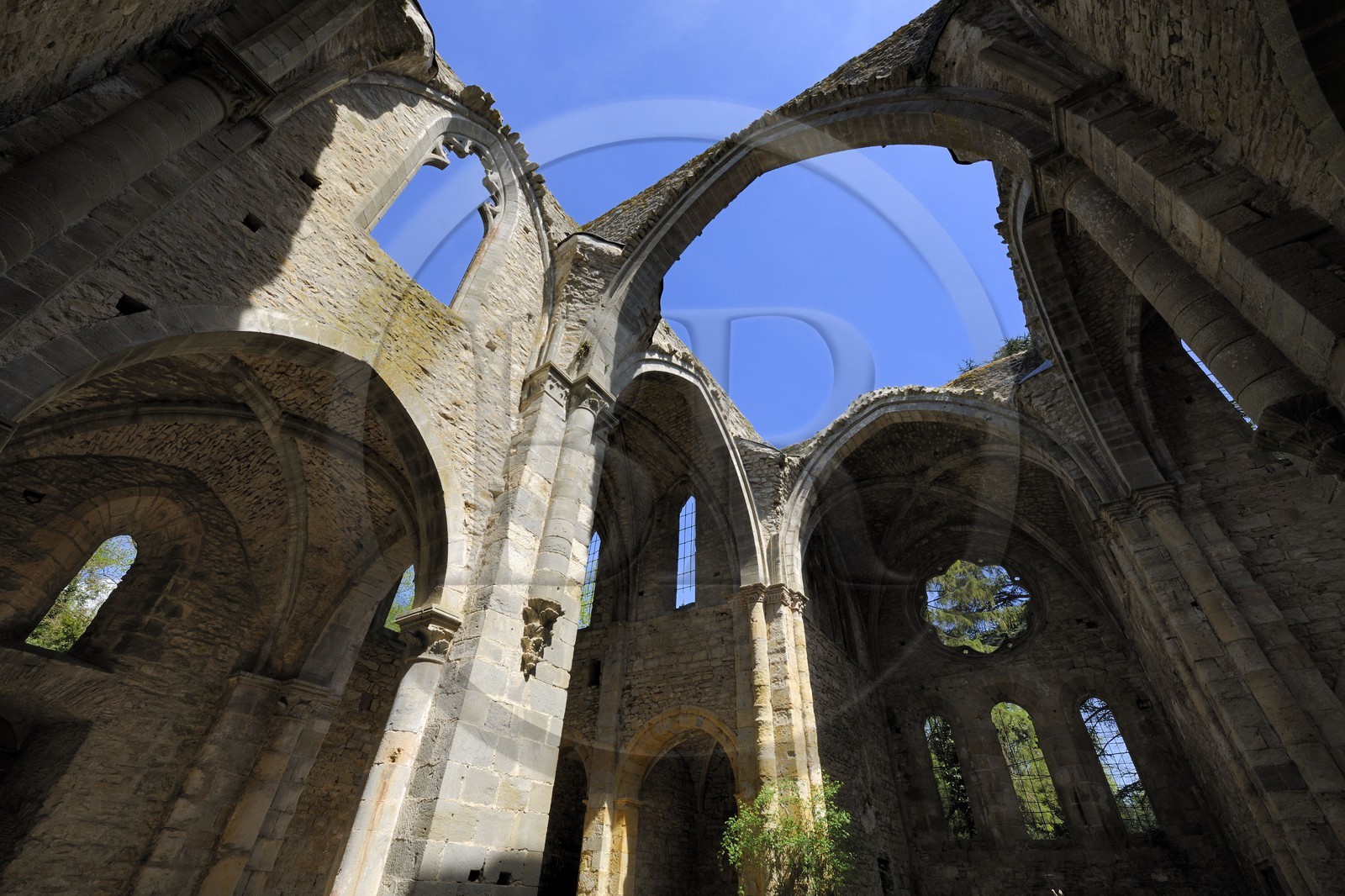 France, Aude, Saint-Martin-le-Vieil, the former Cistercian abbey of Villelongue