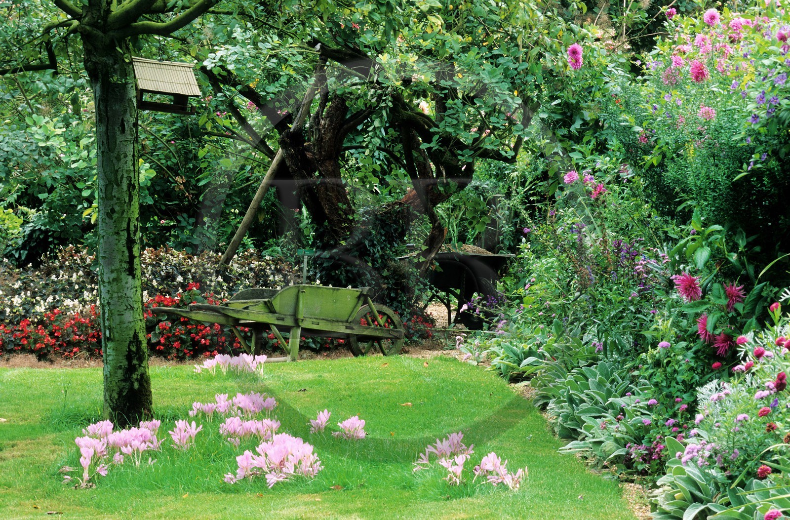 France, Eure, Giverny, Claude Monet's garden