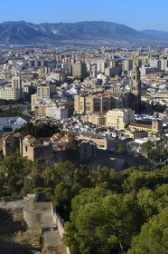 Spain, Andalusia, Malaga, the city with the Alcazaba and the cathedral seen from the Castillo de Gibralfaro
