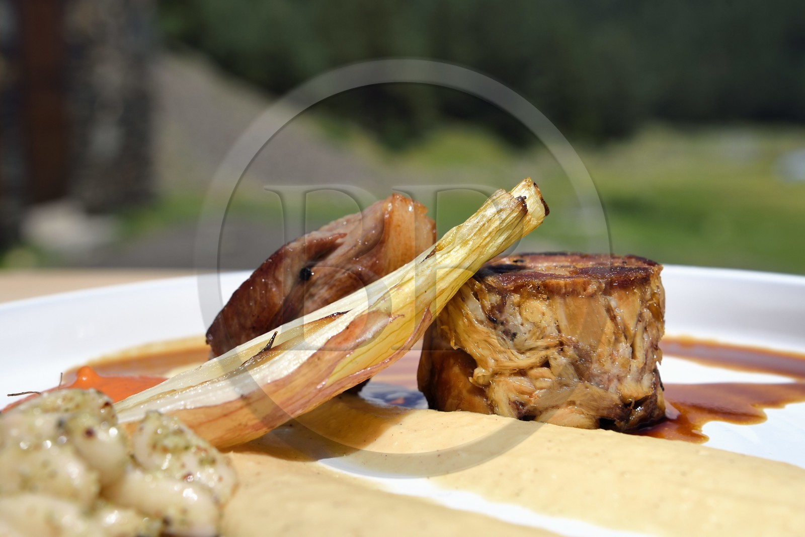 France, Hautes-Pyrénées (65), Saint-Lary-Soulan, vallée du Rioumajou, l'hospice du Rioumajou devenu refuge et restaurant