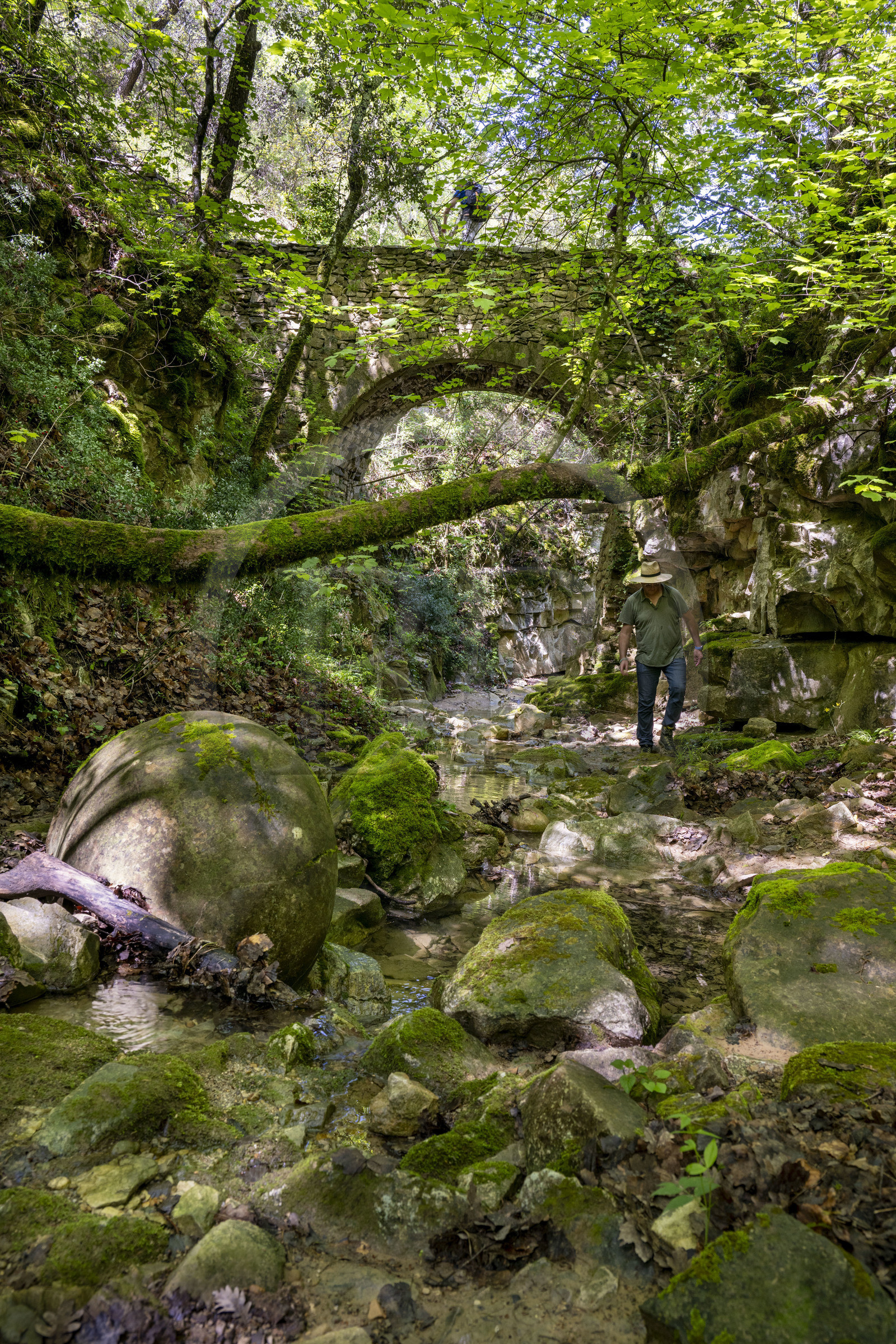 France, Vaucluse, Dentelles de Montmirail mountains, Sablet, the Trignon river overlooked by the old bridge of the ruined 7th century abbey of nuns in the Prébayon valley