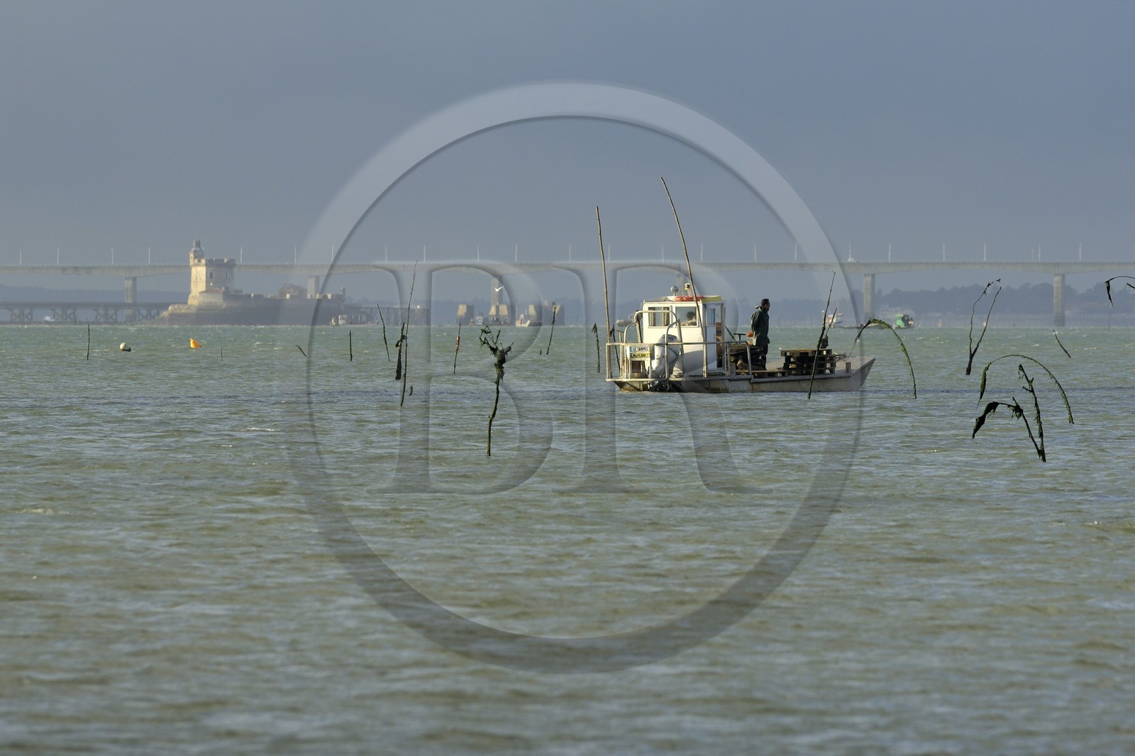 France, Charente-Maritime (17), le bassin Marrennes-Oléron au large de l'Ile d'Oléron, chaland dans les parcs à huîtres
