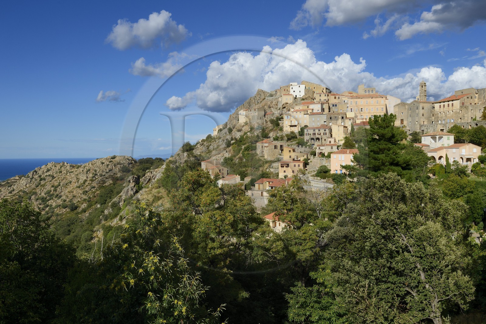 France, Haute-Corse (2B), Balagne, village perché de Speloncato